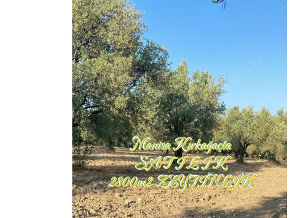 Bakır Mah. Kırkağaç Satılık Tarla |  2830M2 650.000Tl Resim-1