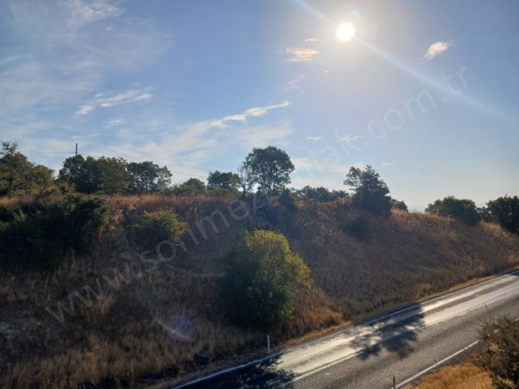 Demirtaş Mah. Dikili Satılık Tarla |  2450M2 5.250.000Tl Resim-4