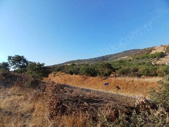 Dikili Demirtaş Ta Satılık Tarla Anayola Cephe 3120M2 Mah