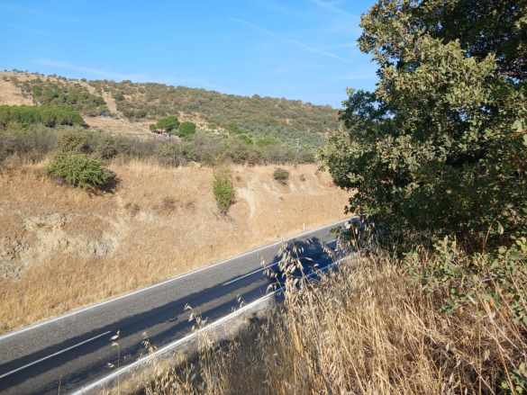 Dikili Demirtaş Ta Satılık Tarla Anayola Cephe 3120M2 Mah