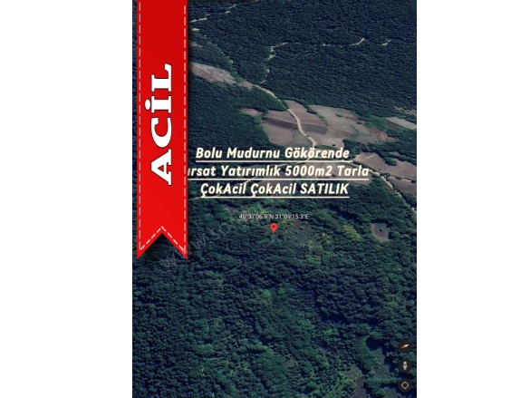Kayapınar Mah-Gökören Köyü. Mudurnu Acil Satılık Tarla |  5000M2 800.000Tl Resim-3