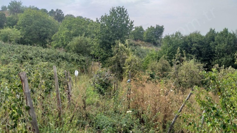 Lütfiye Mah. Kestel Satılık Tarla |  1674M2 2.000.000Tl Resim-3