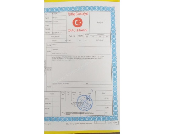 Lütfiye Mah. Kestel Satılık Tarla |  1674M2 2.000.000Tl Resim-4