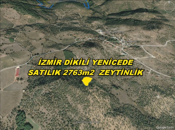 Yenice Mah. Dikili Satılık Tarla |  2763M2 1.600.000Tl Resim-3