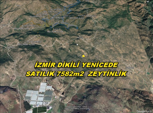 Yenice Mah. Dikili Satılık Tarla |  7580M2 2.850.000Tl Resim-2