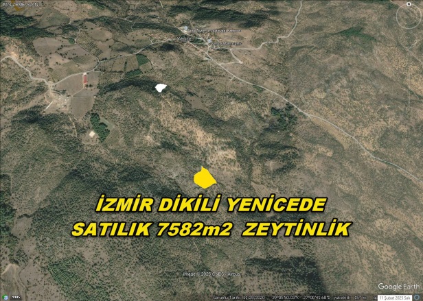 Yenice Mah. Dikili Satılık Tarla |  7580M2 2.850.000Tl Resim-3