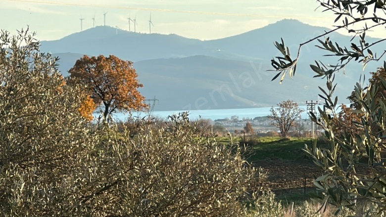 Kıratlı Mah. Dikili Satılık Tarla |  330M2 2.750.000Tl Resim-5