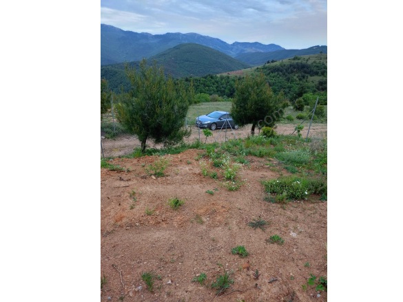 Avdancık Mah. Osmangazi Satılık Tarla |  2700M2 2.900.000Tl Resim-2