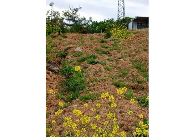 Avdancık Mah. Osmangazi Satılık Tarla |  2700M2 2.900.000Tl Resim-4