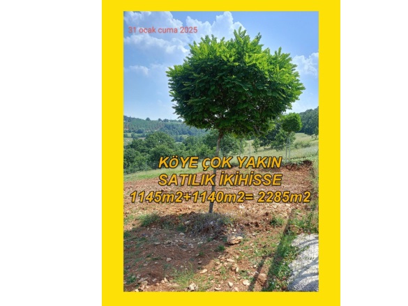 Ümitalan Mah. Kestel Satılık Tarla |  2285M2 3.300.000Tl Resim-1