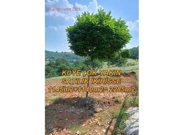 Ümitalan Mah. Kestel Satılık Tarla |  2285M2 3.300.000Tl Resim-5