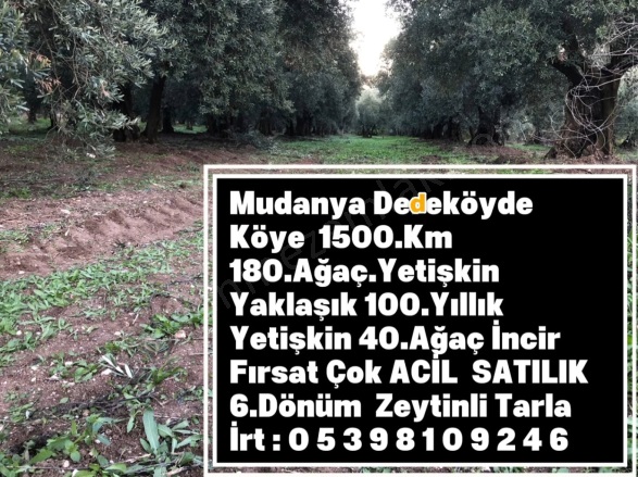 Dedeköy Mah. Mudanya Satılık Tarla |  6000M2 13.300.000Tl Resim-1