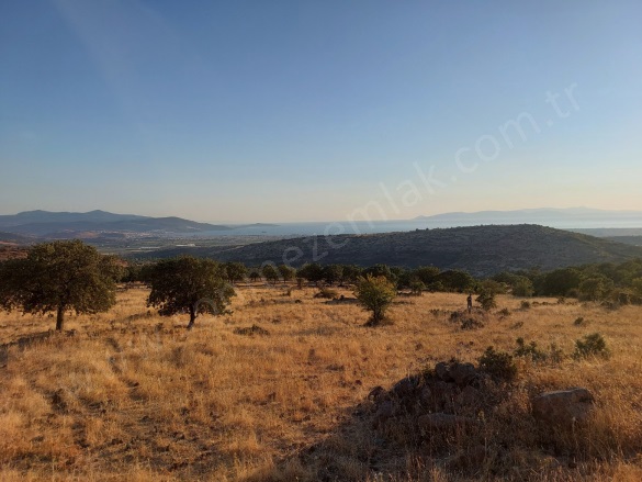 Kızılçukur Mah. Dikili Satılık Tarla |  19997M2 14.000.000Tl Resim-2