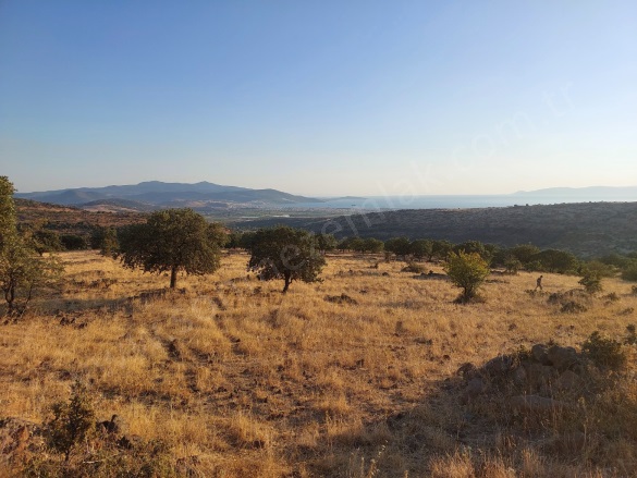 Kızılçukur Mah. Dikili Satılık Tarla |  19997M2 14.000.000Tl Resim-4