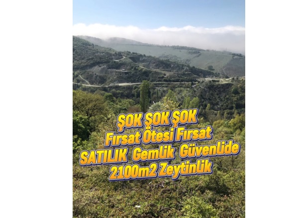 Güvenli Mah. Gemlik Satılık Tarla |  2104M2 850.000Tl Resim-1
