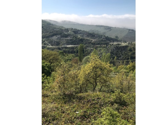 Güvenli Mah. Gemlik Satılık Tarla |  2104M2 850.000Tl Resim-2