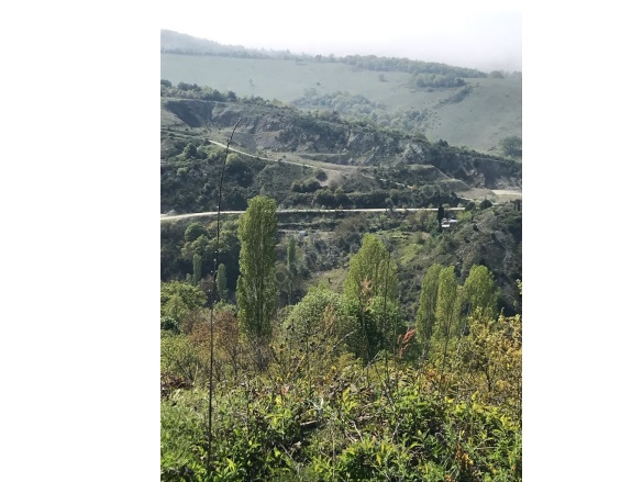 Güvenli Mah. Gemlik Satılık Tarla |  2104M2 850.000Tl Resim-3