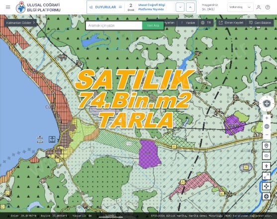 Kocaoba Mah. Dikili Satılık Tarla |  74000M2 63.000.000Tl Resim-2