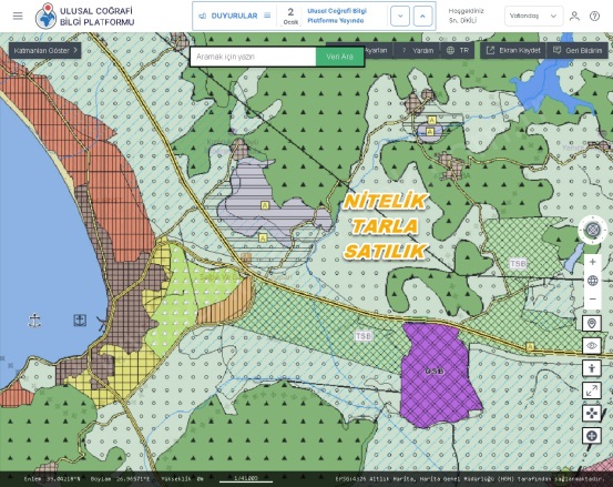 Kocaoba Mah. Dikili Satılık Tarla |  19000M2 16.350.000Tl Resim-2