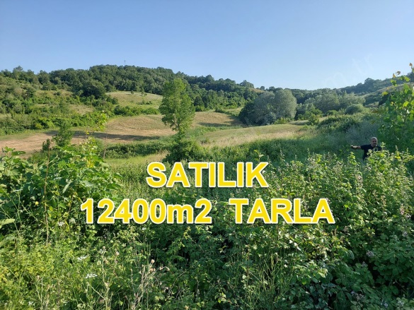 Yalıntaş Mah. Mustafakemalpaşa Satılık Tarla |  12400M2 5.600.000Tl Resim-1
