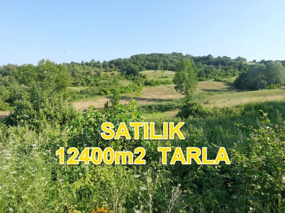 Yalıntaş Mah. Mustafakemalpaşa Satılık Tarla |  12400M2 5.000.000Tl Resim-2