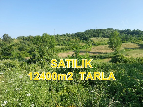 Yalıntaş Mah. Mustafakemalpaşa Satılık Tarla |  12400M2 5.600.000Tl Resim-3