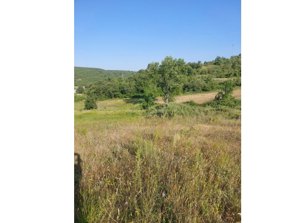 Yalıntaş Mah. Mustafakemalpaşa Satılık Tarla |  12400M2 5.600.000Tl Resim-5