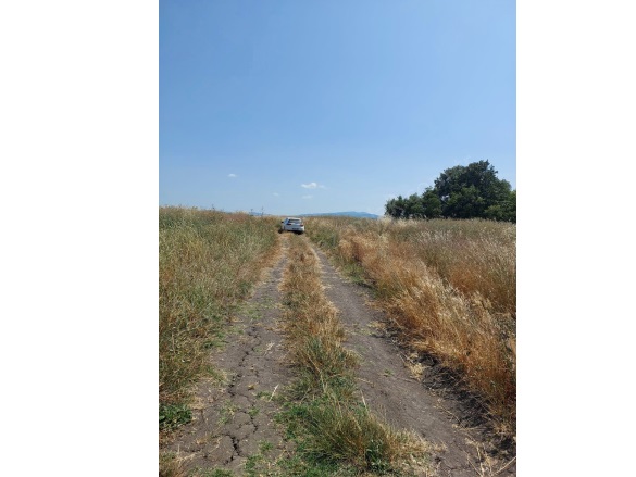 Tatkavaklı Mah. Mustafakemalpaşa Satılık Tarla |  6200M2 5.000.000Tl Resim-4