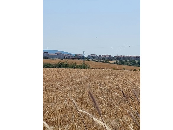 Tatkavaklı Mah. Mustafakemalpaşa Satılık Tarla |  6200M2 5.300.000Tl Resim-5