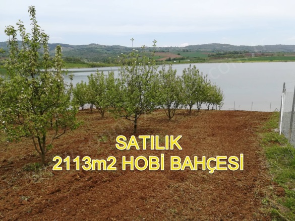 Kozluören Mah. Kestel Satılık Tarla |  2113M2 5.000.000Tl Resim-1
