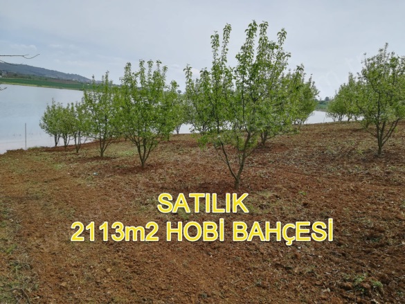 Kozluören Mah. Kestel Satılık Tarla |  2113M2 5.000.000Tl Resim-2