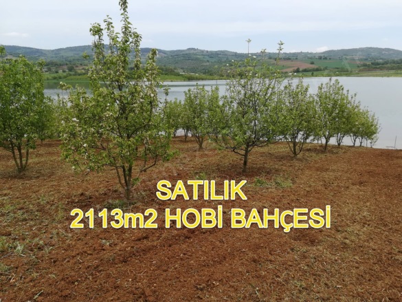 Kozluören Mah. Kestel Satılık Tarla |  2113M2 5.000.000Tl Resim-3