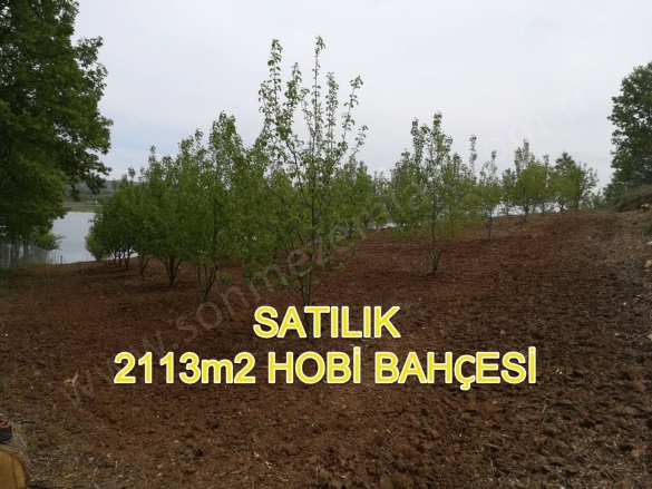 Kozluören Mah. Kestel Satılık Tarla |  2113M2 5.000.000Tl Resim-4