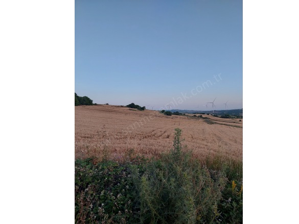 Çamlıca Mah. Karacabey Satılık Tarla |  2000M2 1.100.000Tl Resim-2