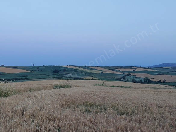 Çamlıca Mah. Karacabey Satılık Tarla |  7300M2 3.000.000Tl Resim-1