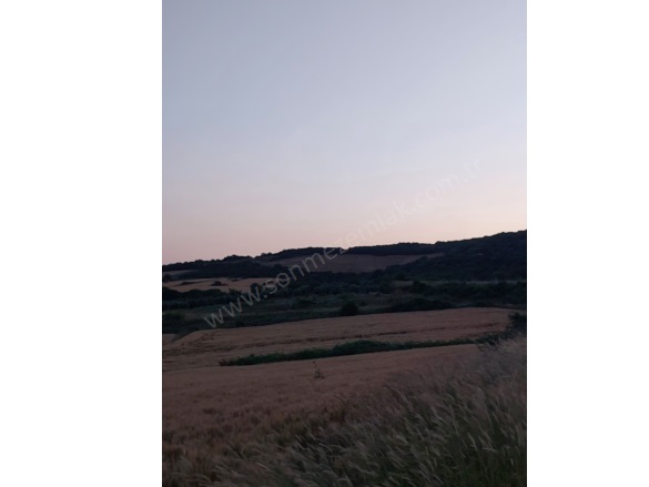 Çamlıca Mah. Karacabey Satılık Tarla |  7300M2 3.000.000Tl Resim-2