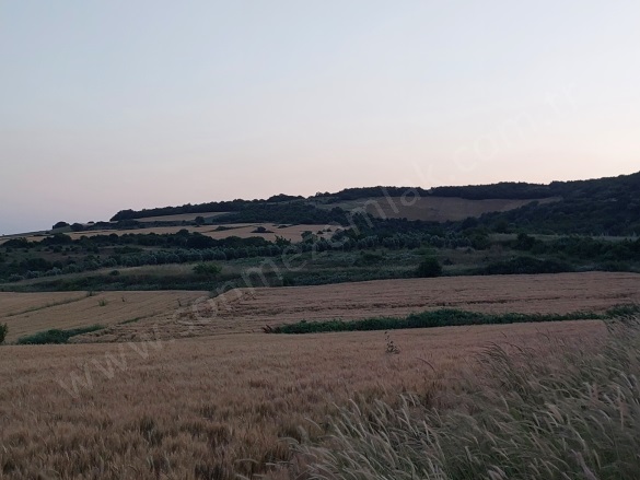 Çamlıca Mah. Karacabey Satılık Tarla |  7300M2 3.000.000Tl Resim-3