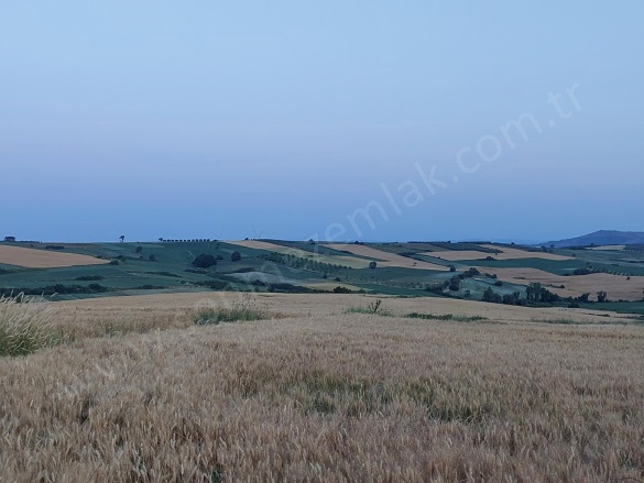 Çamlıca Mah. Karacabey Satılık Tarla |  7300M2 3.000.000Tl Resim-1