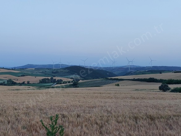 Çamlıca Mah. Karacabey Satılık Tarla |  7300M2 3.000.000Tl Resim-3