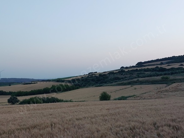 Çamlıca Mah. Karacabey Satılık Tarla |  7300M2 3.000.000Tl Resim-5