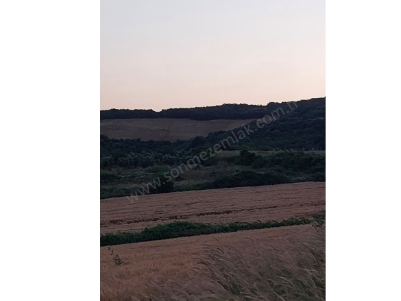 Çamlıca Mah. Karacabey Satılık Tarla |  14600M2 6.000.000Tl Resim-2
