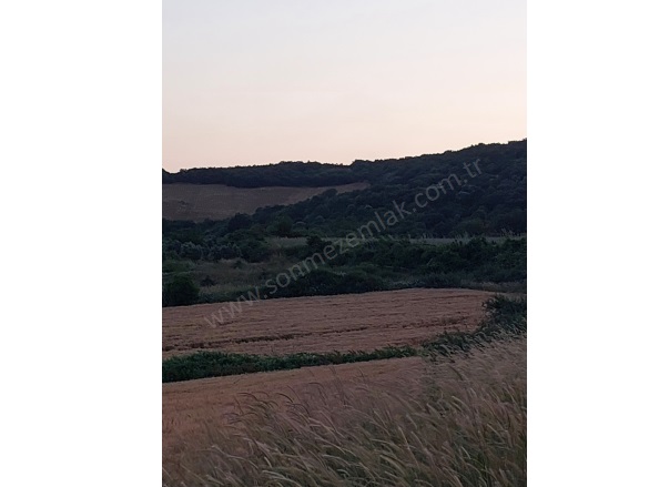 Çamlıca Mah. Karacabey Satılık Tarla |  14600M2 6.000.000Tl Resim-3