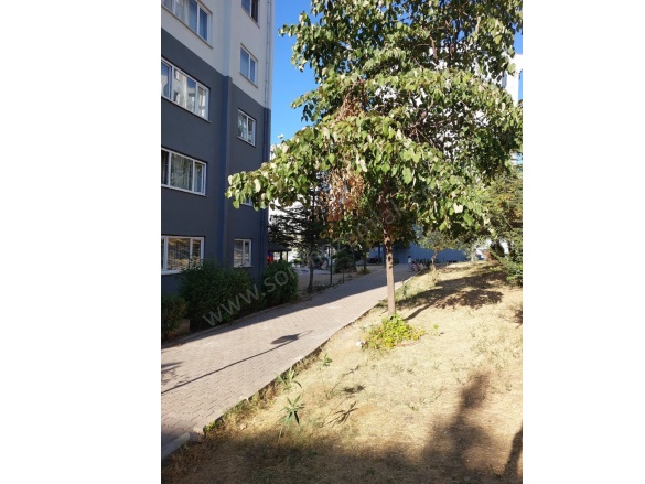 Yiğitler Mah. Yıldırım Satılık Daire |  3+1 Oda | 130M2 4.250.000Tl  Krediye Uygun  | Zemin Kat | Doğalgaz(Kombi) | 1 Banyo | 1 Yatak Odası Resim-5