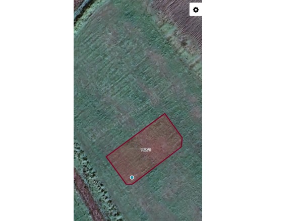 Zeytindağ Mah. Bergama Satılık Arsa |  187M2 1.000.000Tl Resim-5