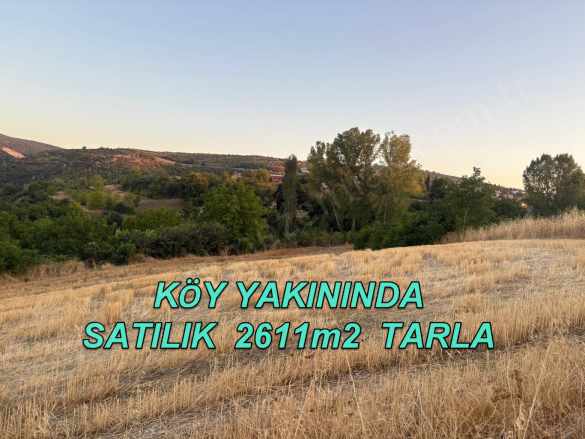 Bursa Yenişehir Çiçeközü Mh De Acil Satılık Tarla Köydibi 2611M2 Mah