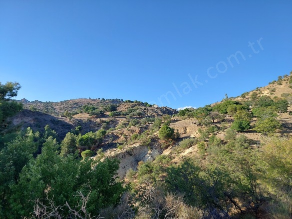 Kıratlı Mah. Dikili Satılık Arsa |  184M2 300.000Tl Resim-4