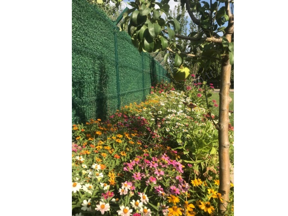 Samanlı Mah. Yıldırım Satılık Tarla |  3032M2 35.000.000Tl Resim-3