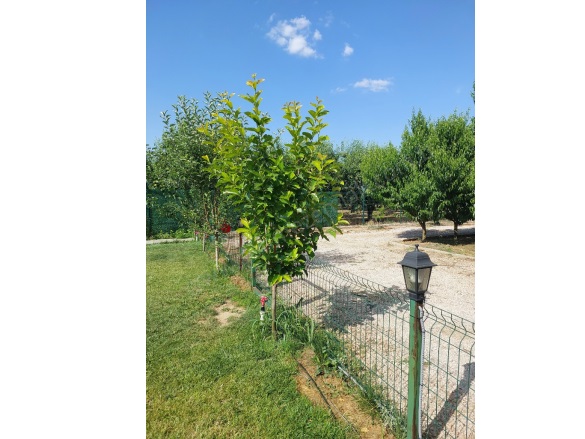 Samanlı Mah. Yıldırım Satılık Tarla |  3032M2 35.000.000Tl Resim-5