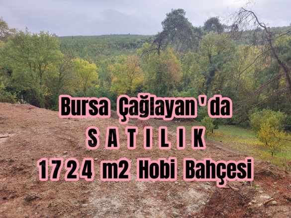 Bursa Çağlayanda Komisyonsuz Satılık Tarla 1724M2 Hobi Bahçesi Osmangazi Çağlayan Mah