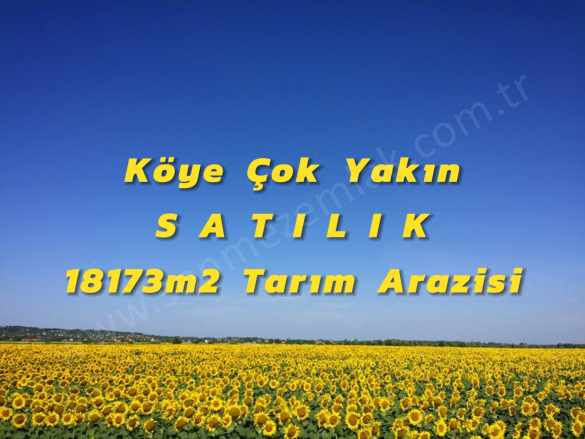 Eskişehir Sivrihisar Yenice De Satılık Tarla 18173M2m Tarım Arazisi Mah